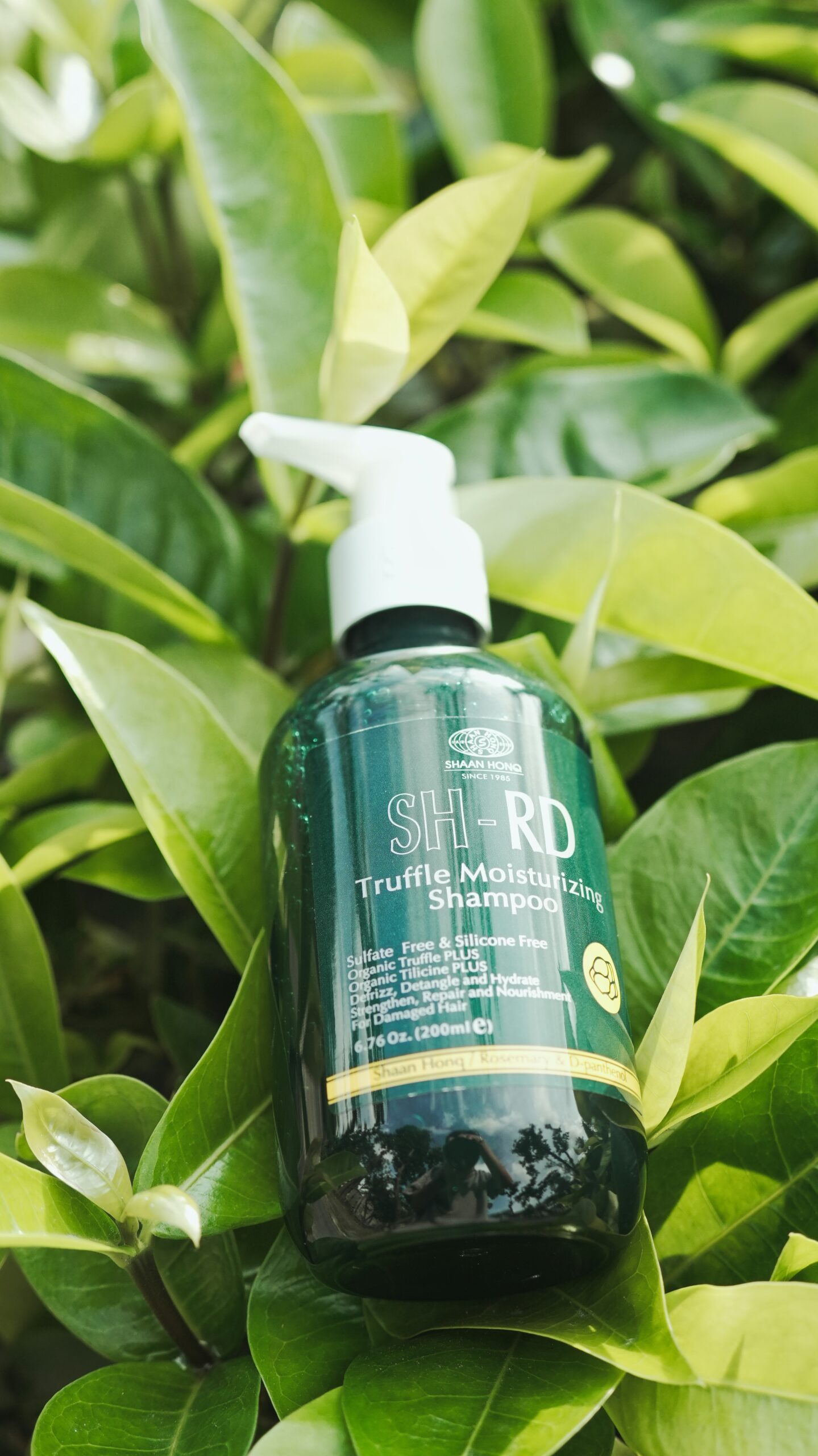 Hello World Featured Image